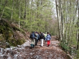 Clicca qui per vedere l'immagine in dettaglio